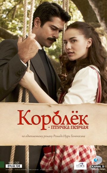 Королек – птичка певчая 1 сезон